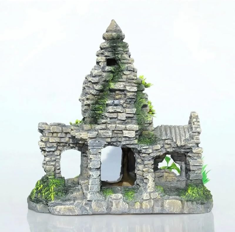 天然珊瑚サンゴ 剥製 タツノオトシゴ 貝殻 ヒトデ 2kg以上 天然珊瑚